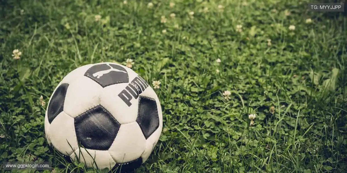 全球手机视讯乐园:掌上真人荷官互动,实时投注不停